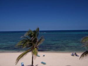 Beautiful Aruba Lures Travelers from Around the World